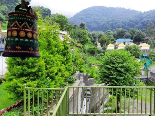 Camp Cedar x Solis Nature