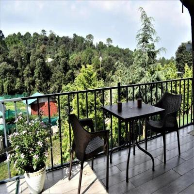 Camp Cedar x Solis Nature