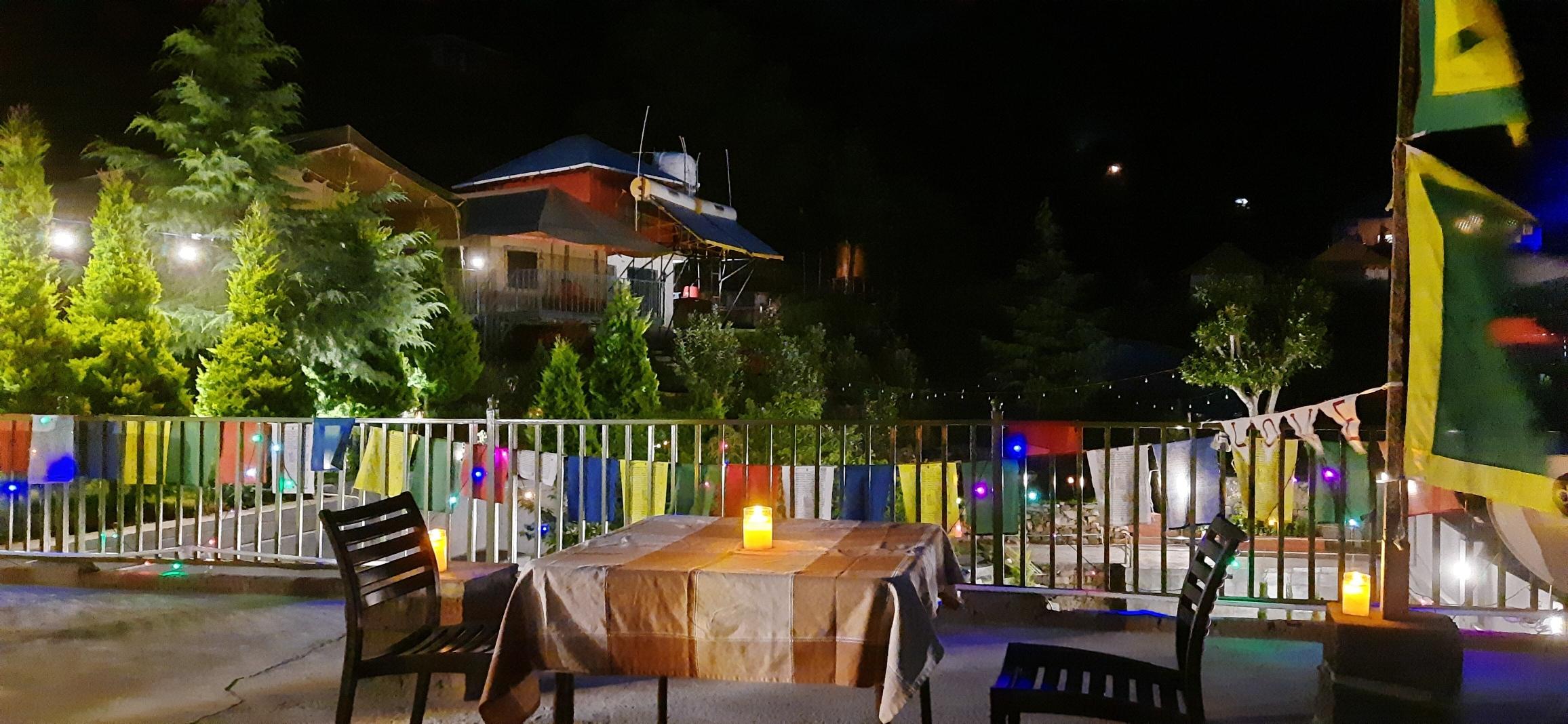 Camp Cedar x Solis Nature