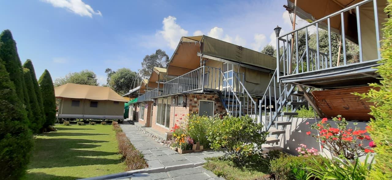 Camp Cedar x Solis Nature