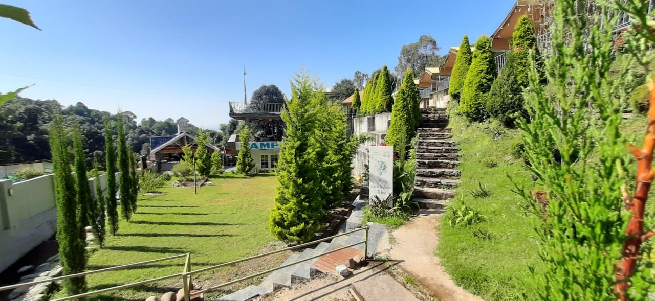 Camp Cedar x Solis Nature