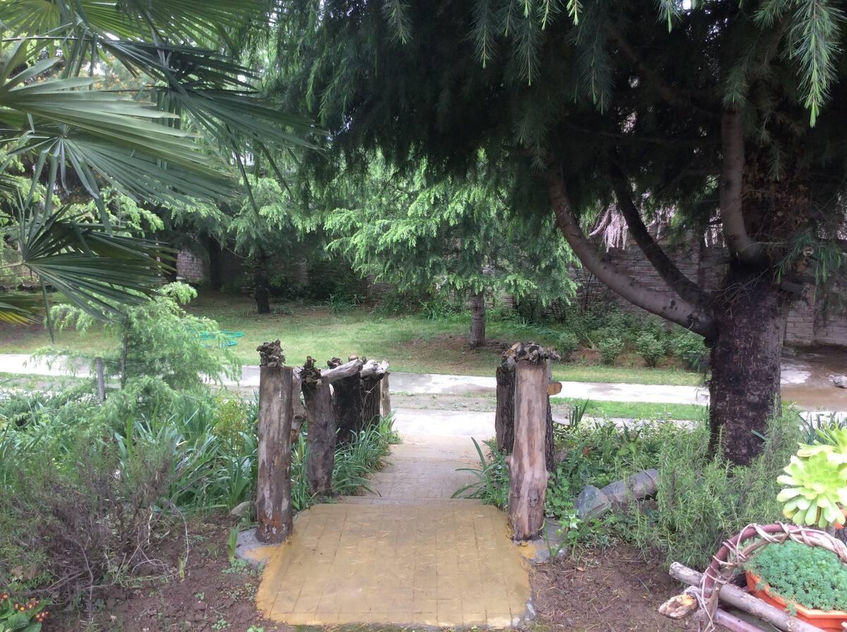 The Cottage Nigeen x Solis Nature