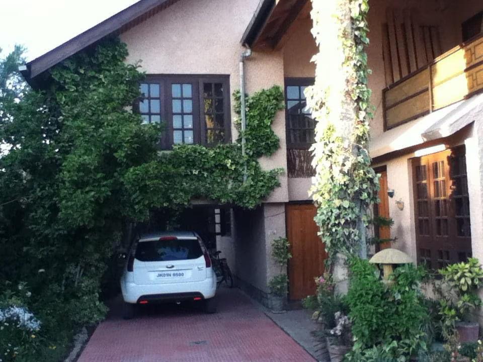 The Firs villa x Solis Nature