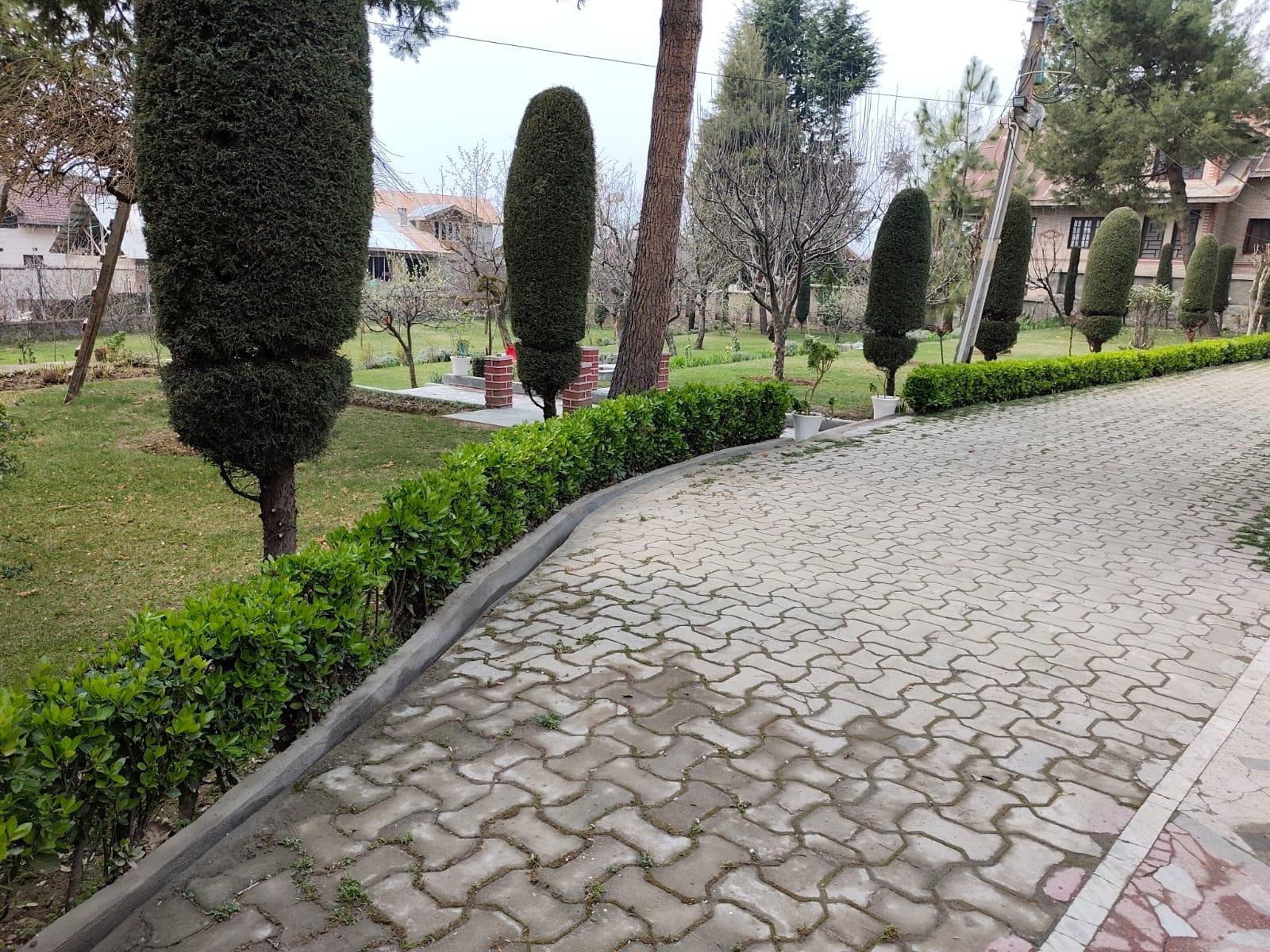 Nature's Harmony near Dal Lake x Solis Nature