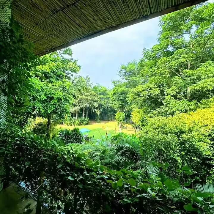 Sukoon Farm - A Lush Green Luxurious Stay (NCR) x Solis Nature