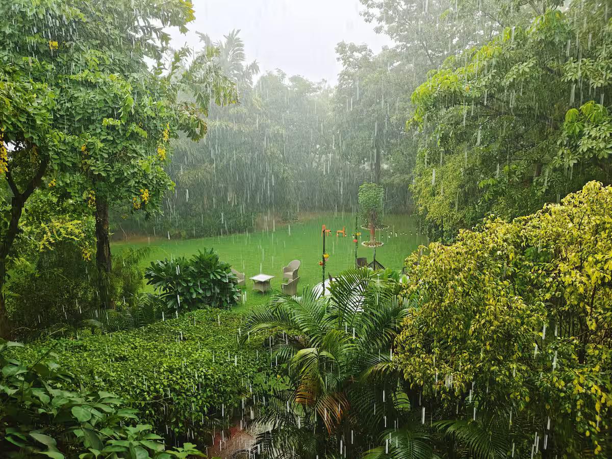Sukoon Farm - A Lush Green Luxurious Stay (NCR) x Solis Nature