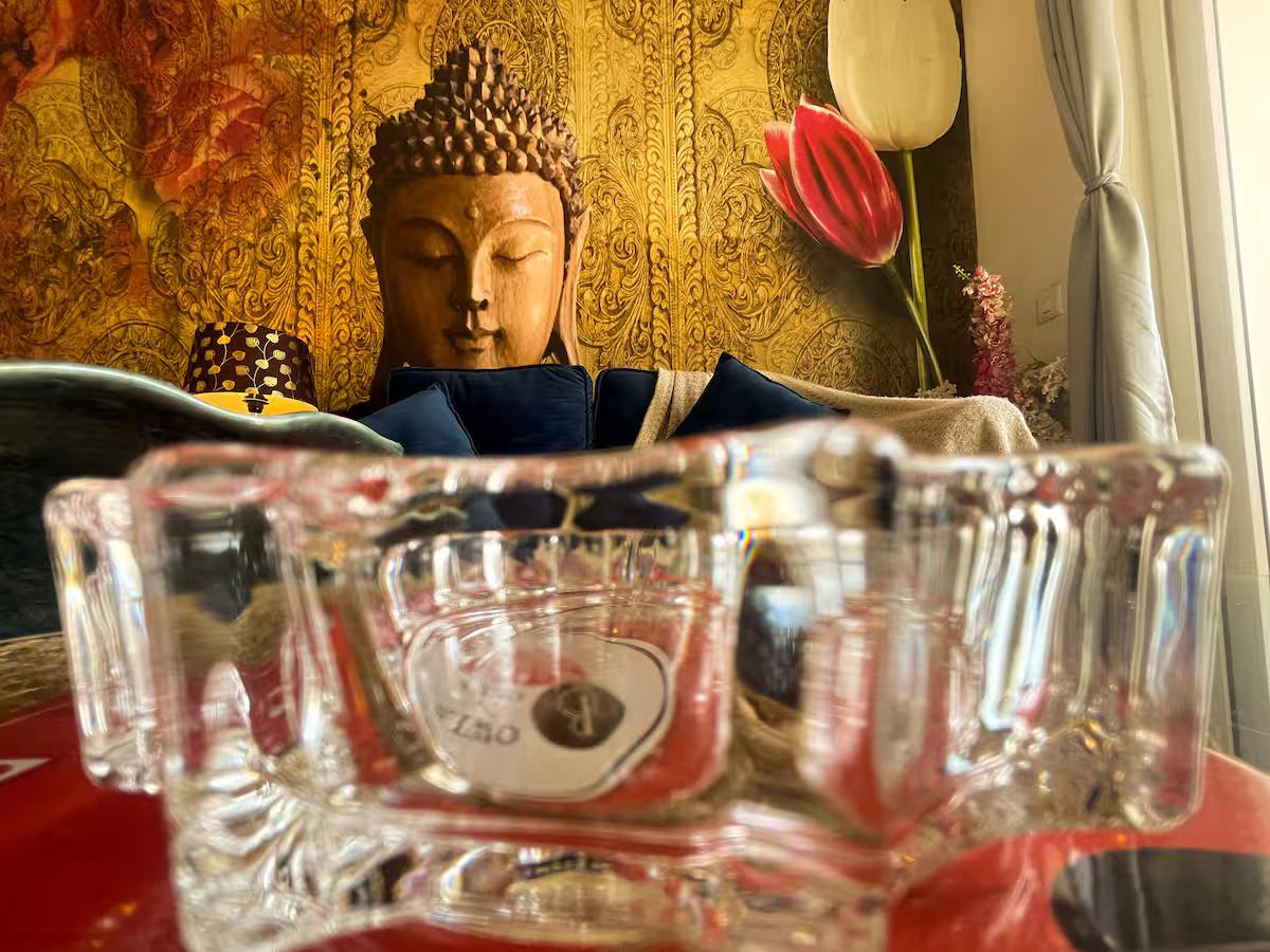 Harmony by Mulberry Homestays (NCR) x Solis Nature