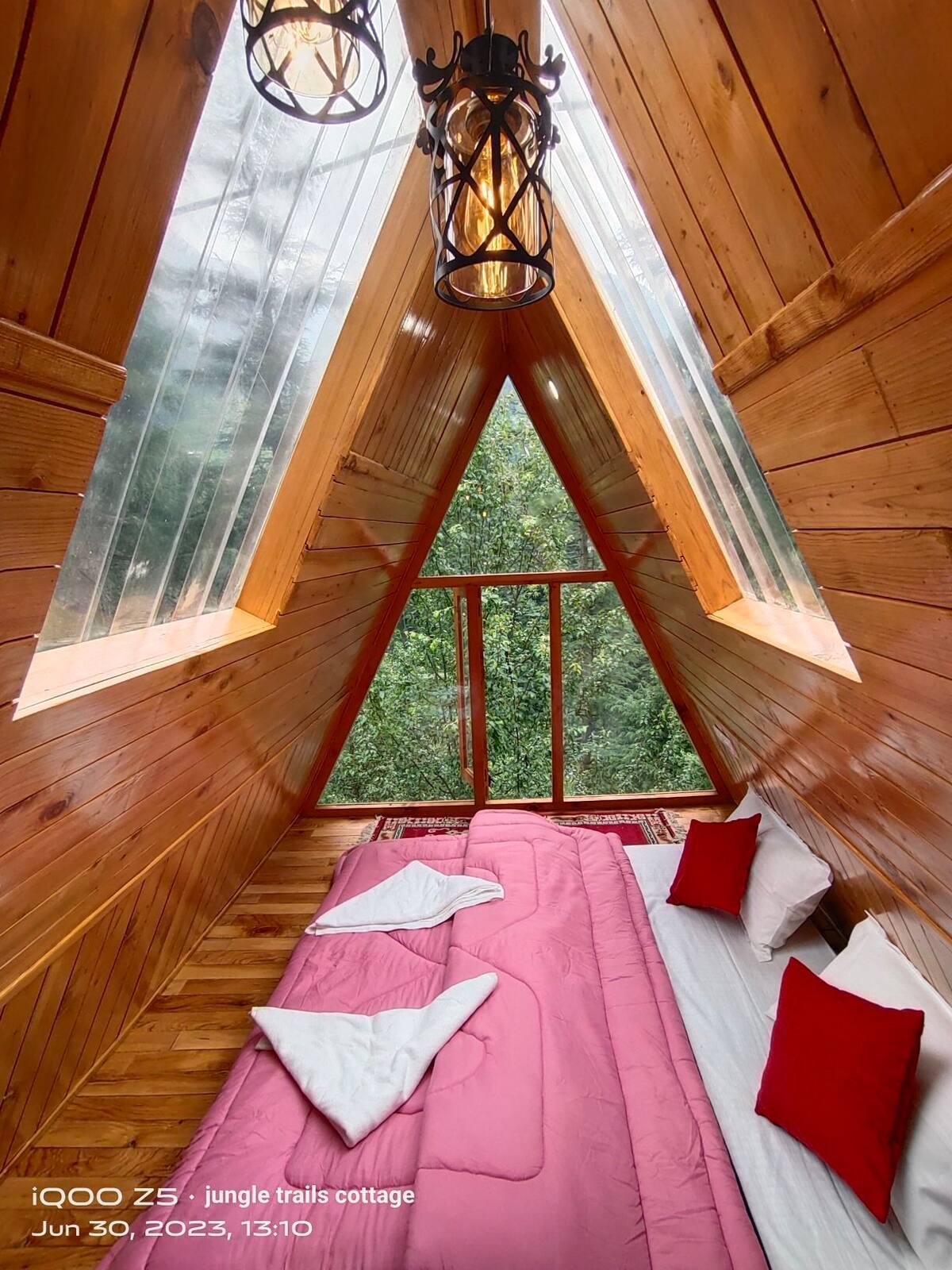 Jungle frames A frame x Solis Nature