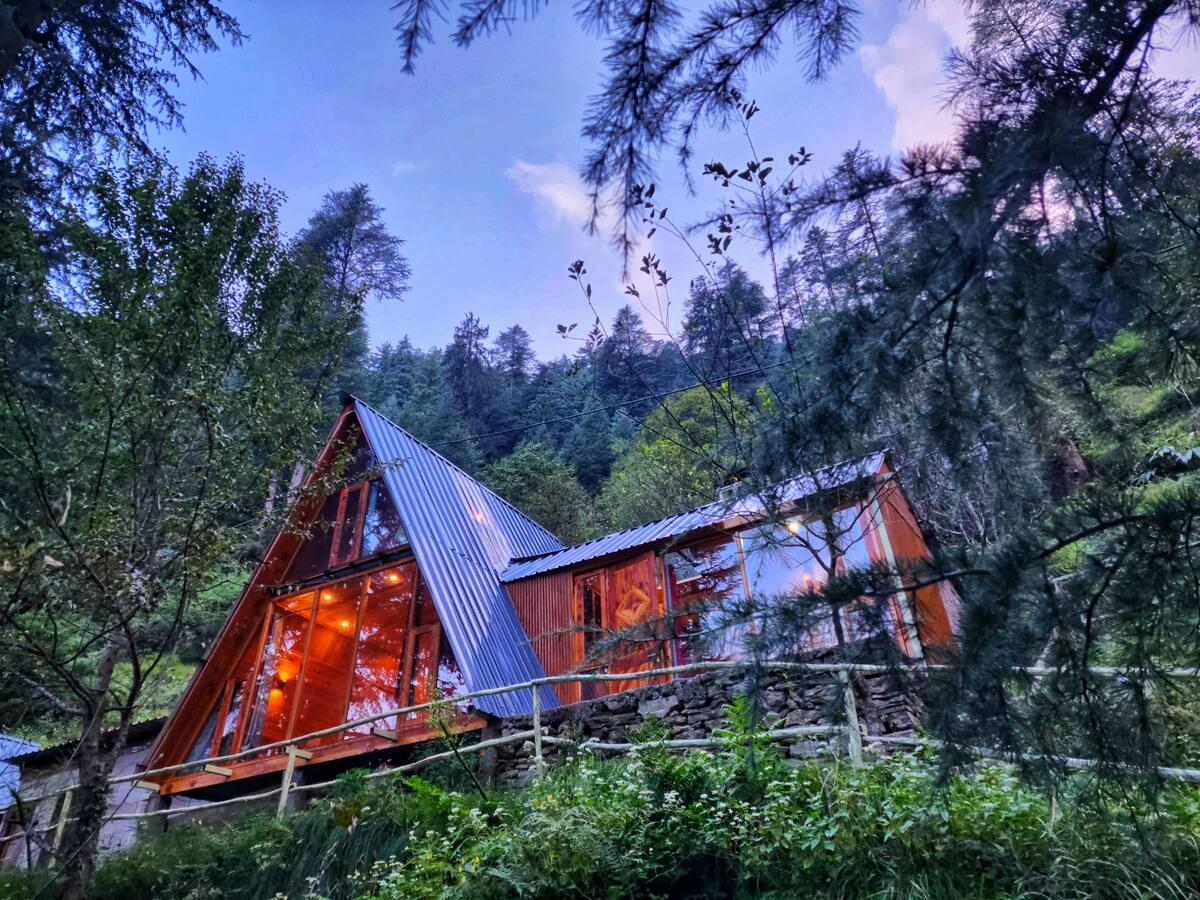 Jungle frames A frame x Solis Nature