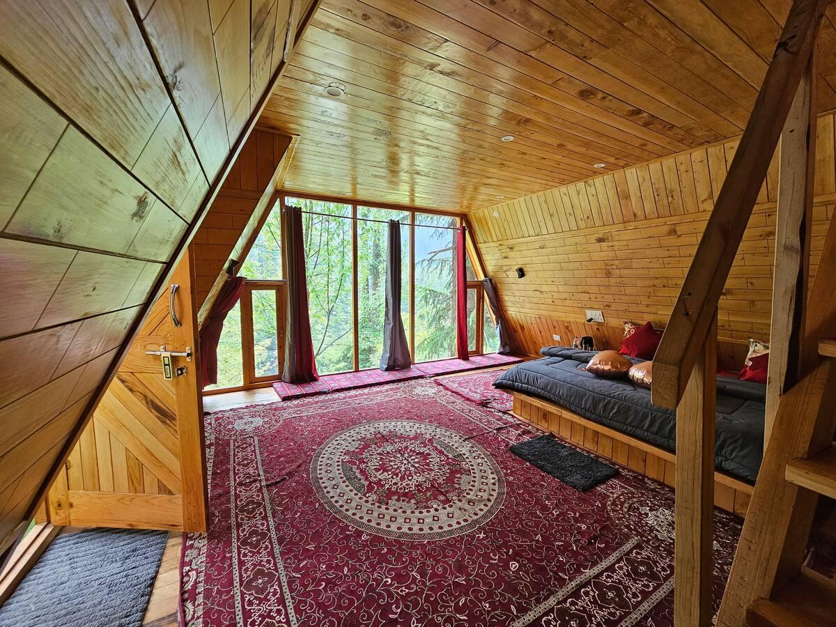 Jungle frames A frame x Solis Nature