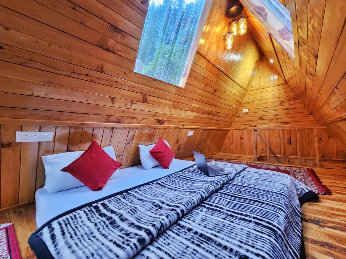 Jungle frames A frame x Solis Nature