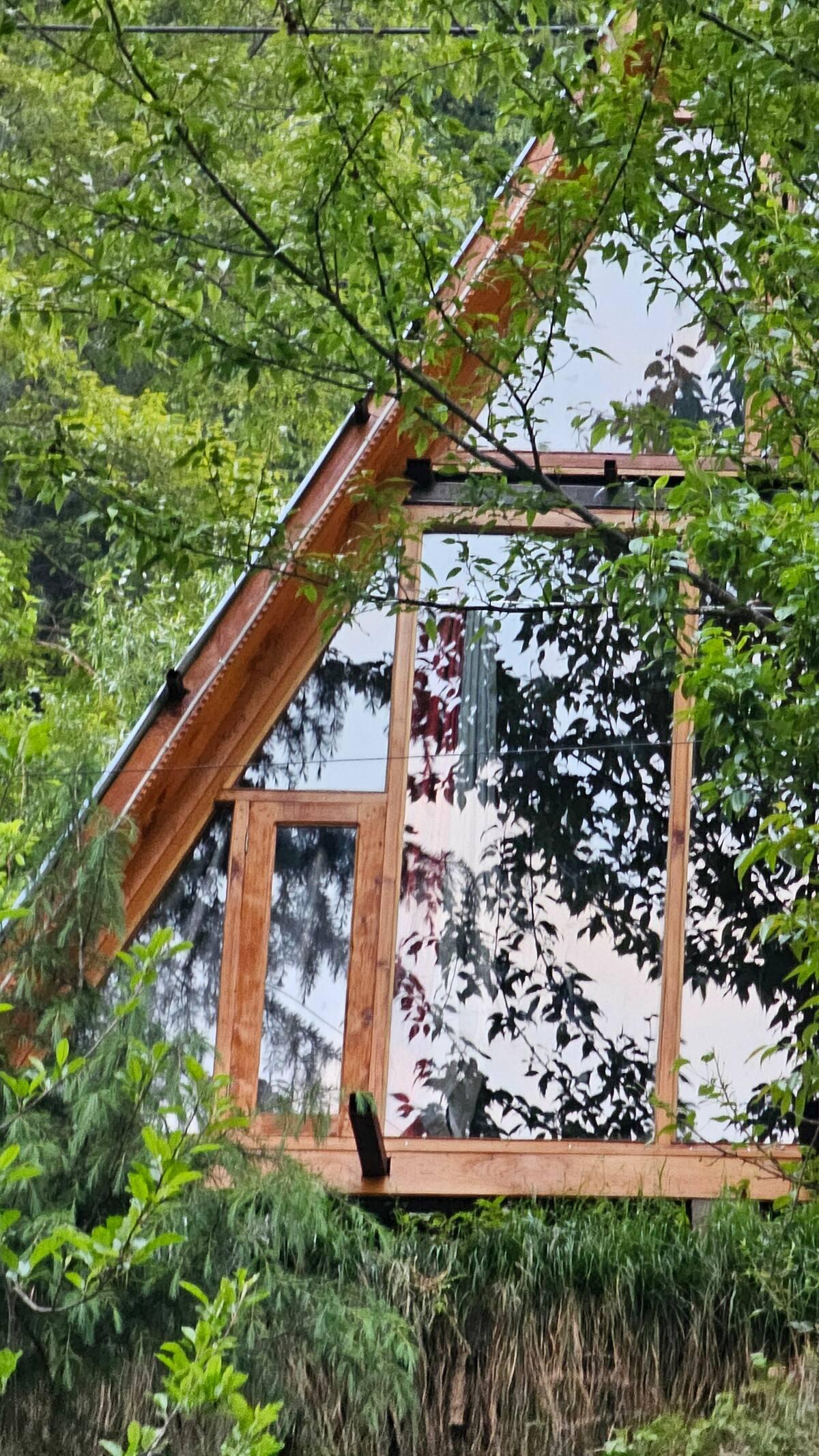 Jungle frames A frame x Solis Nature