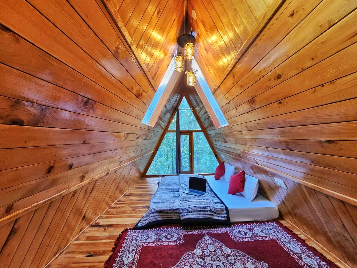 Jungle frames A frame x Solis Nature