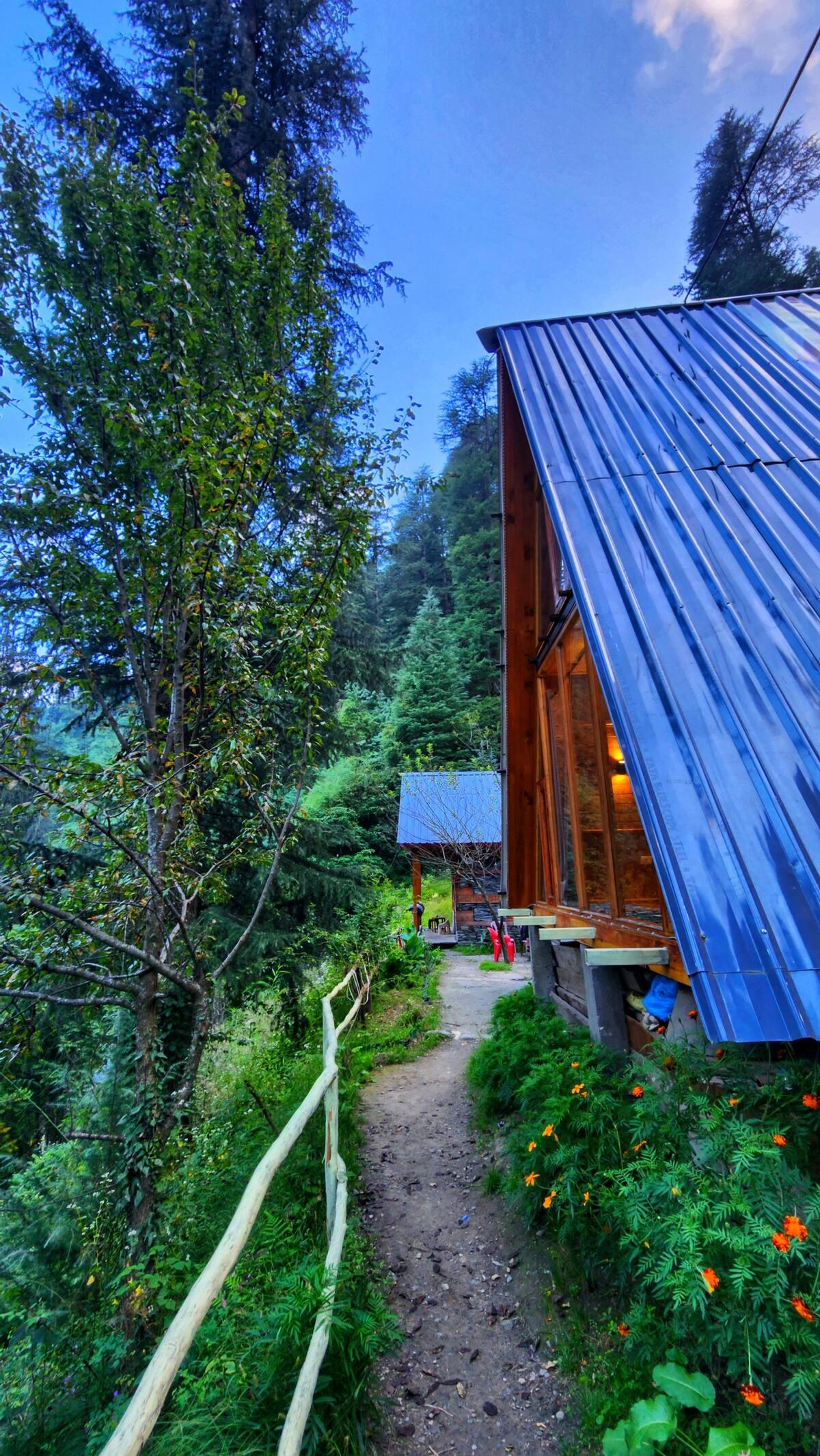 Jungle frames A frame x Solis Nature