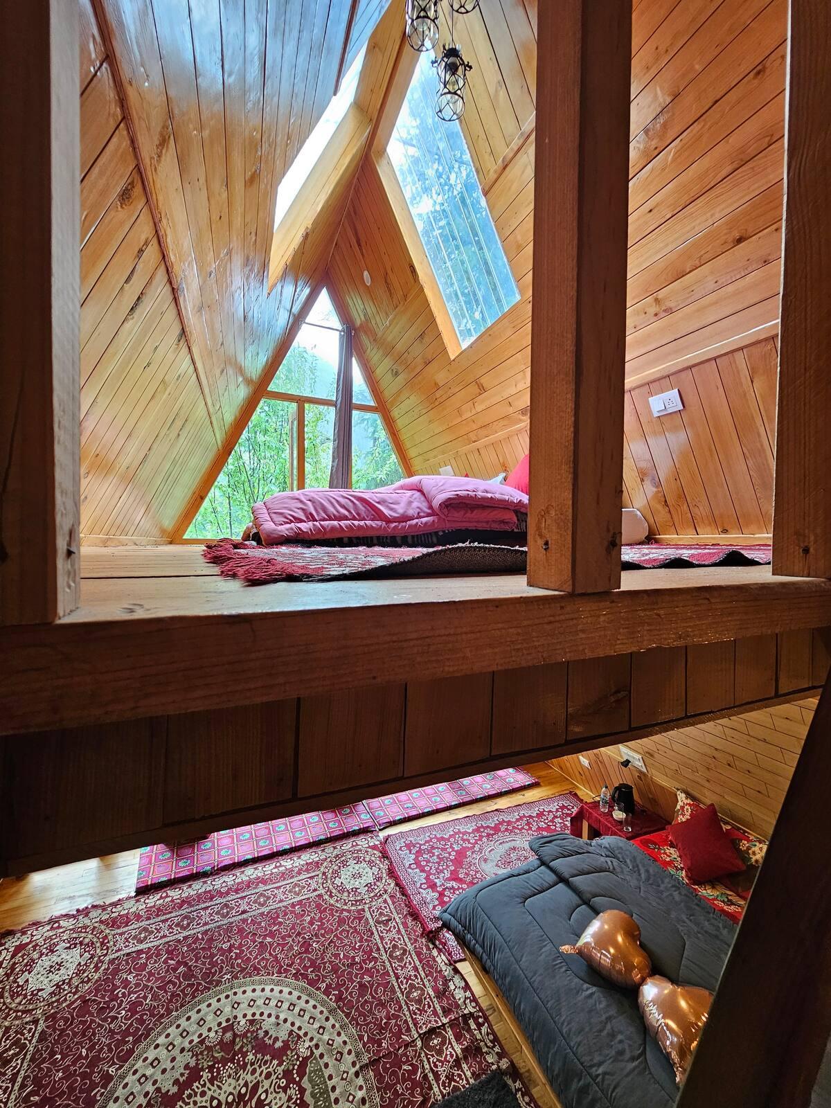 Jungle frames A frame x Solis Nature