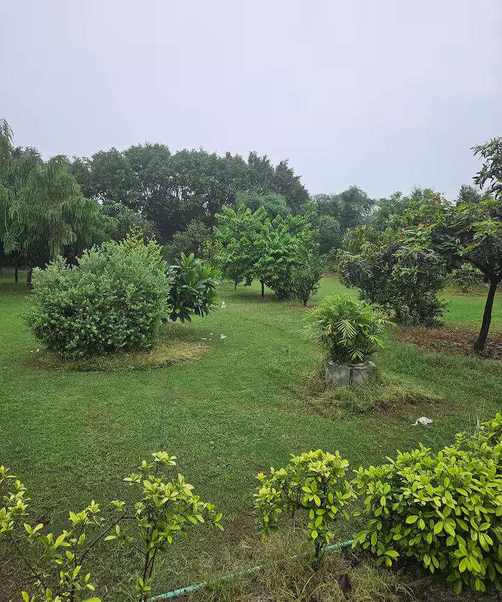 Ekant Farm (NCR) x Solis Nature