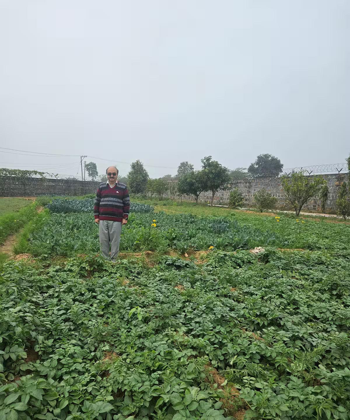 Ekant Farm (NCR) x Solis Nature