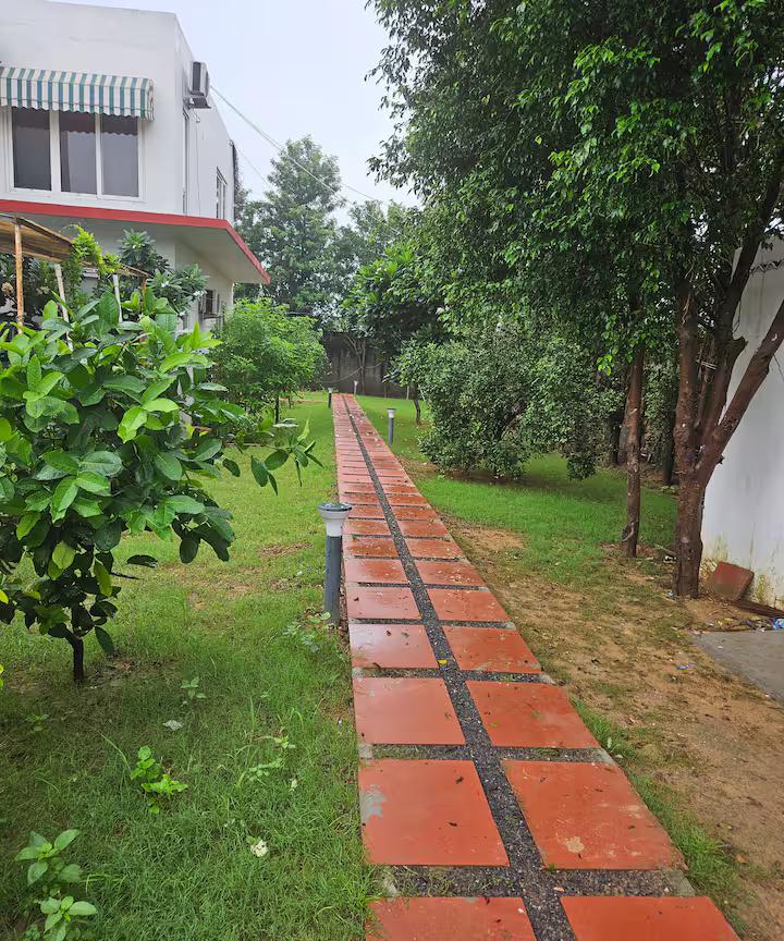 Ekant Farm (NCR) x Solis Nature