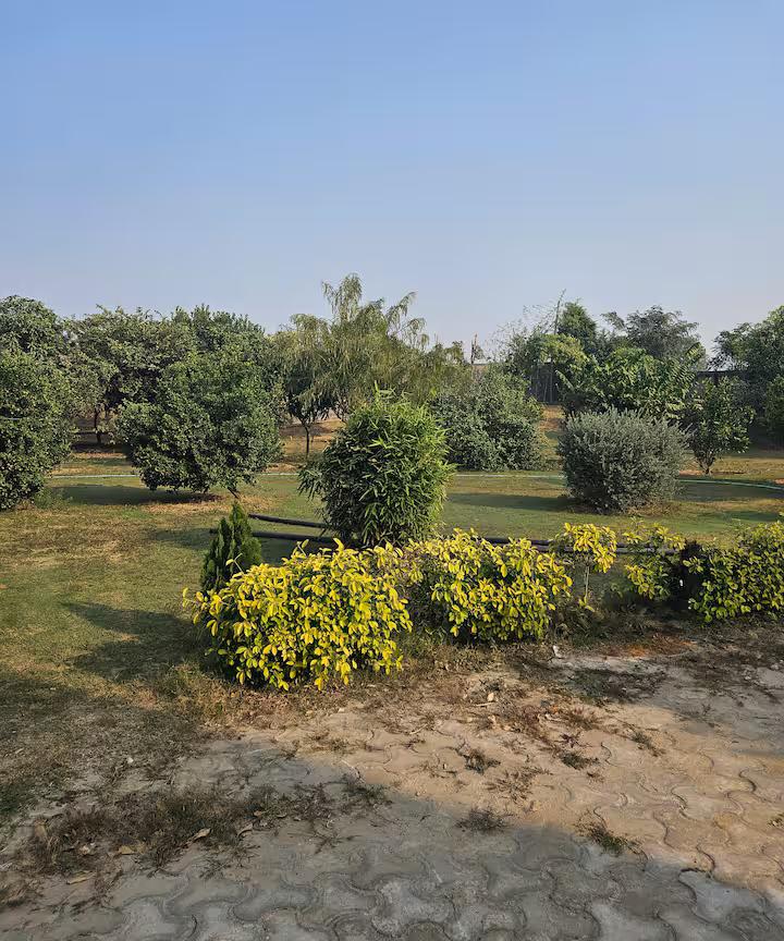 Ekant Farm (NCR) x Solis Nature