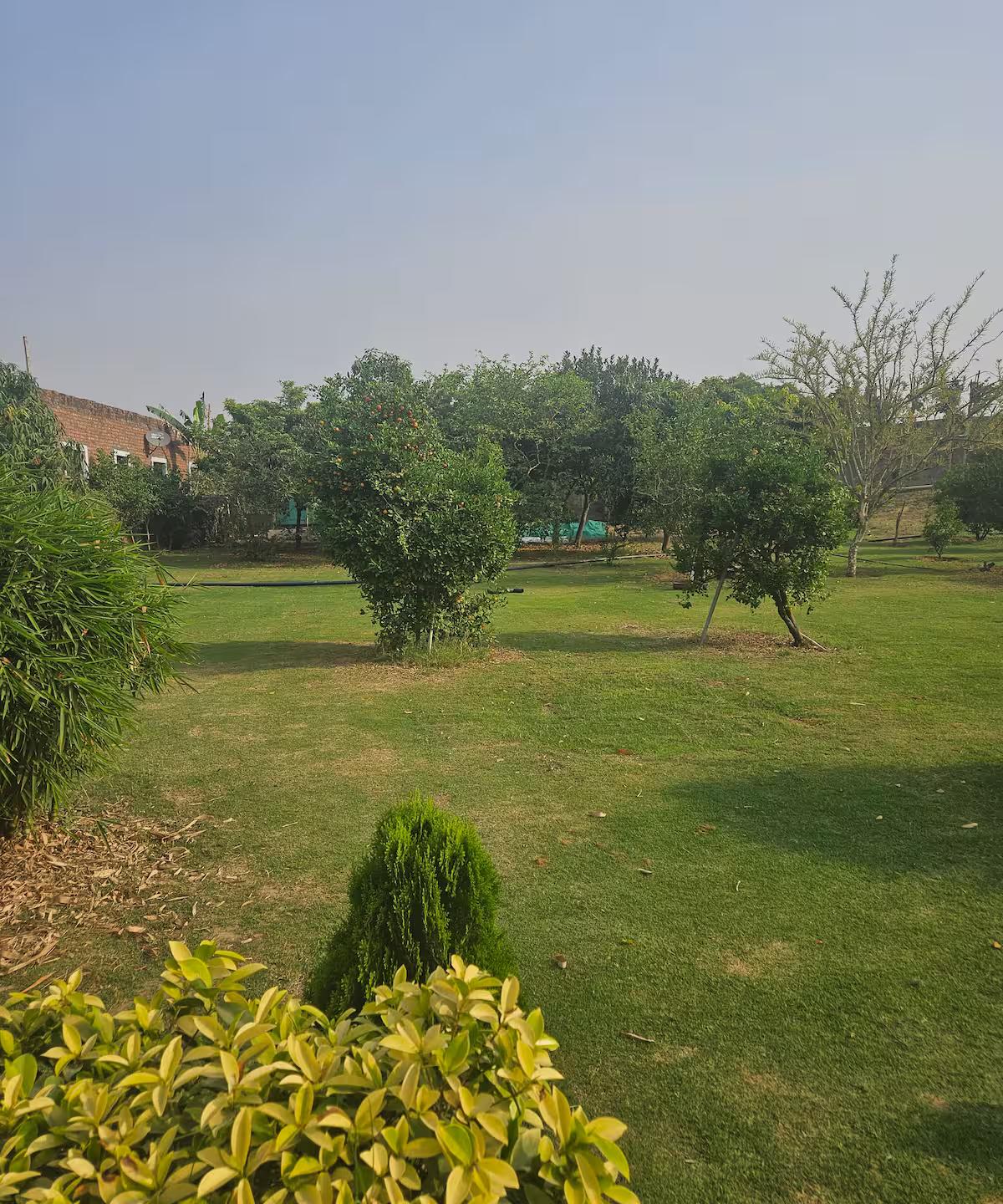 Ekant Farm (NCR) x Solis Nature