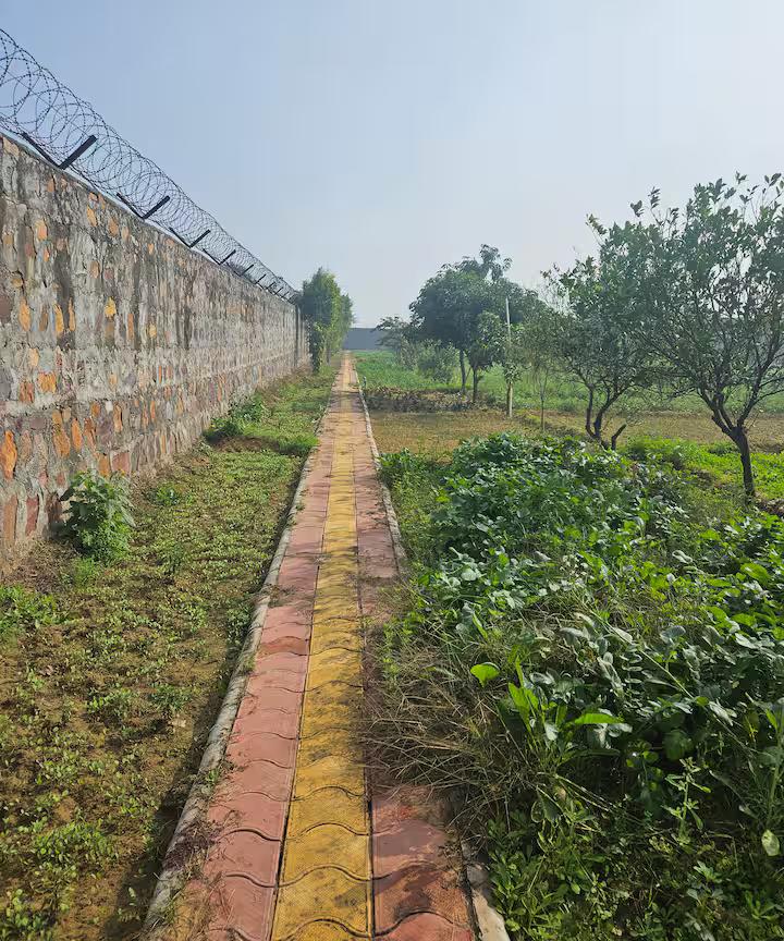 Ekant Farm (NCR) x Solis Nature