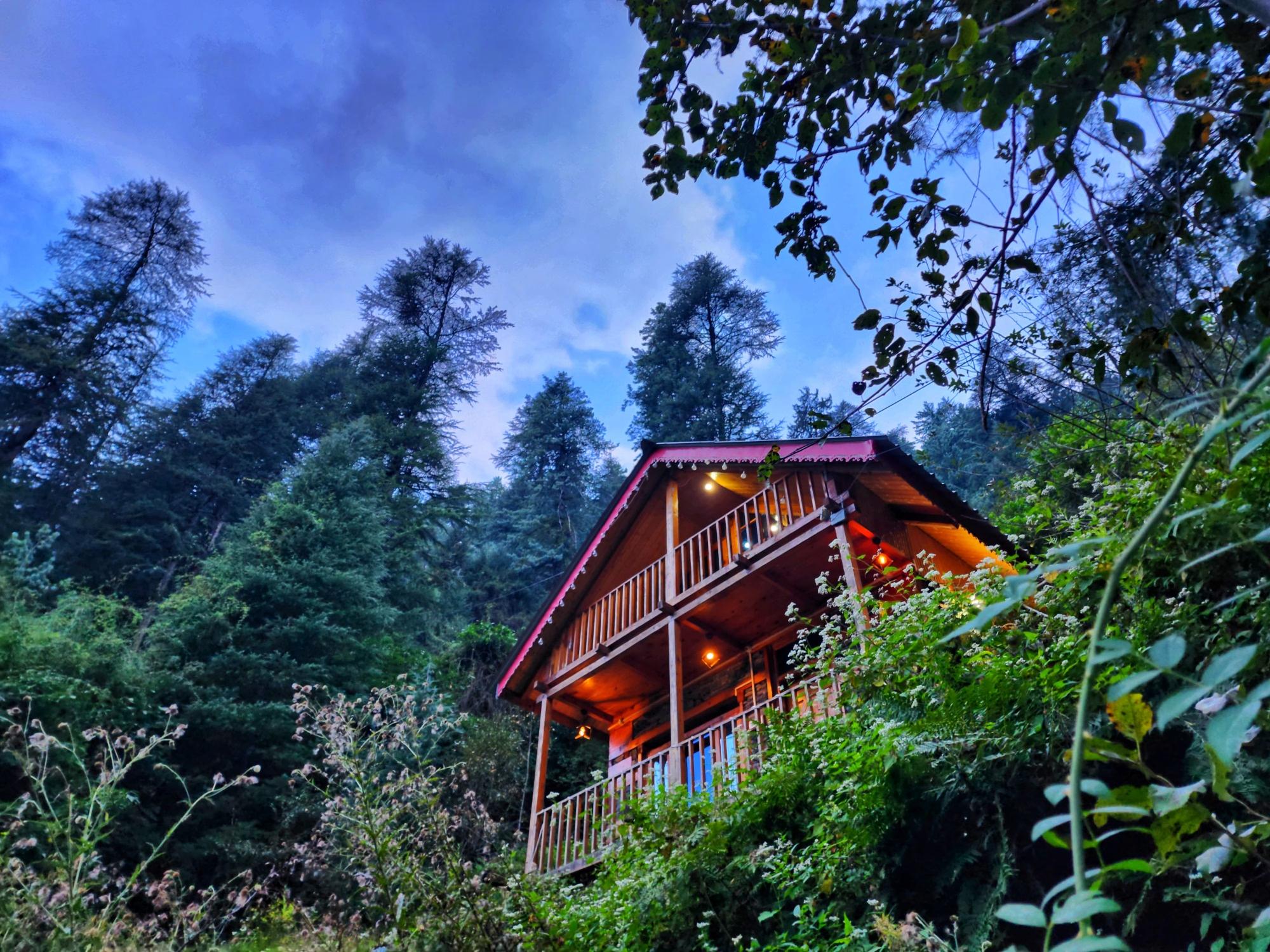 Jungle Trails Cottage x Solis Nature