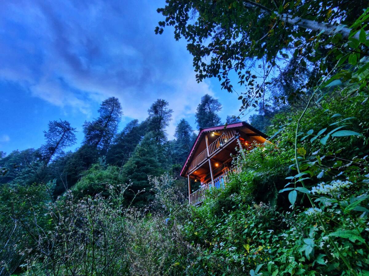 Jungle Trails Cottage x Solis Nature