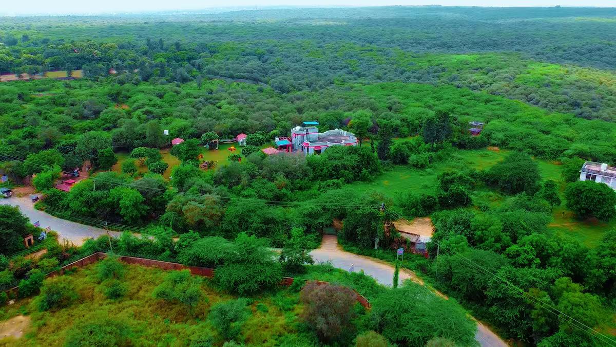 The jungle huts (NCR) x Solis Nature