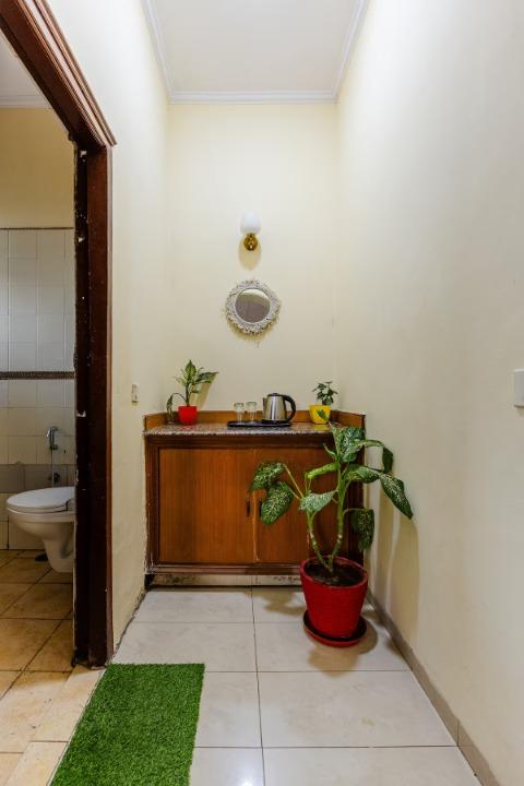 The jungle huts (NCR) x Solis Nature