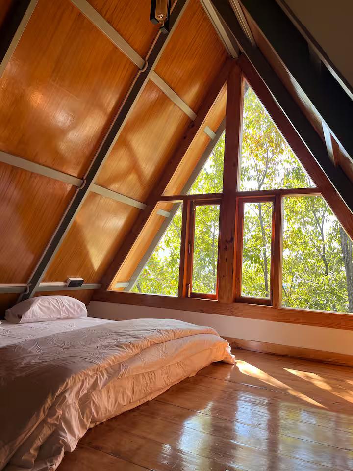 Manipuri oak stay in (A frame cabin) x Solis Nature