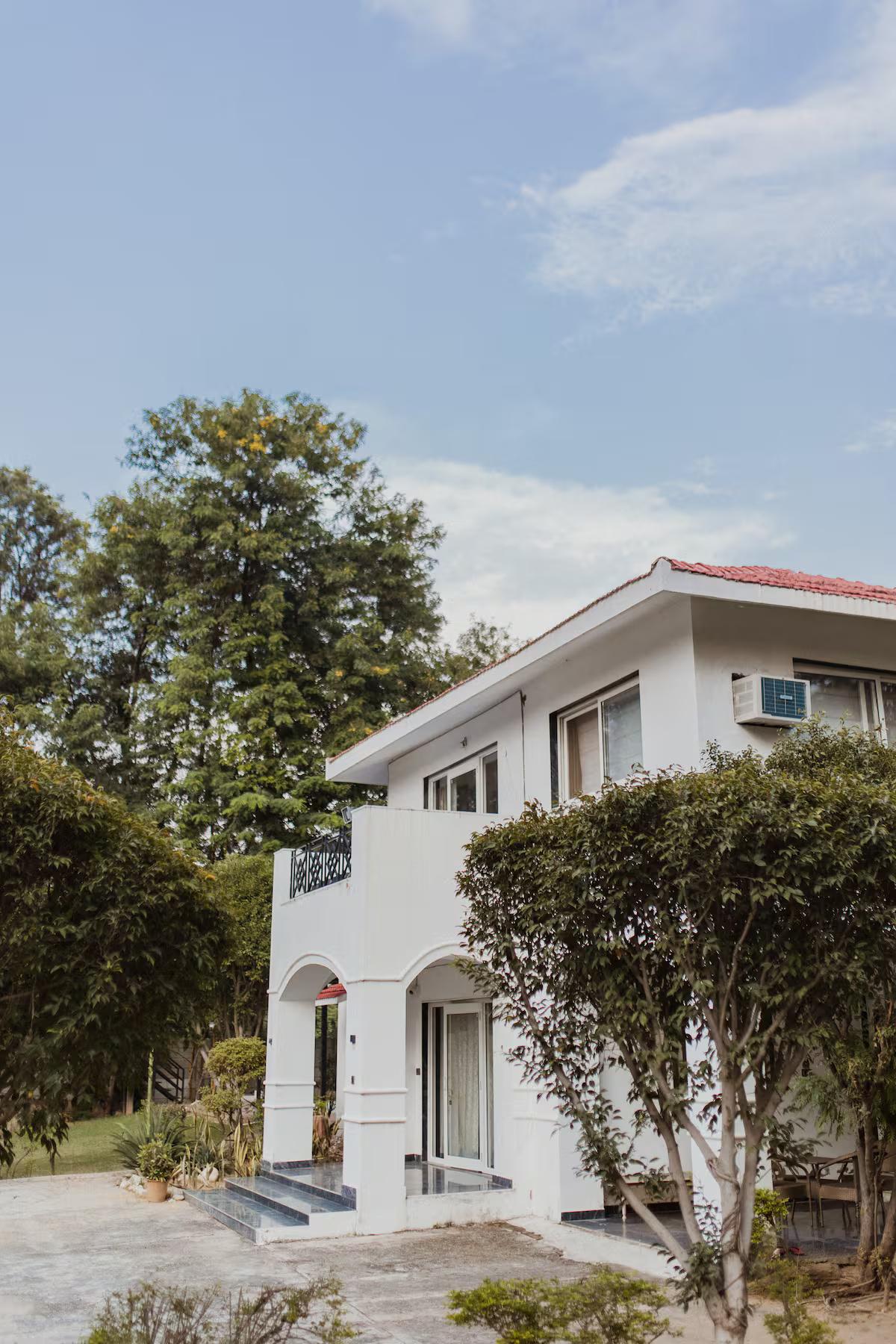 Starlit Solace farm x Solis Nature