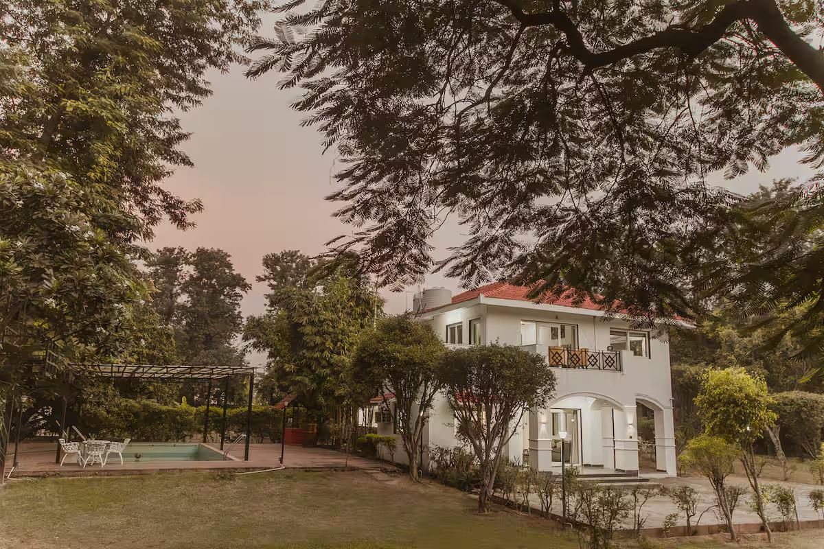 Starlit Solace farm x Solis Nature