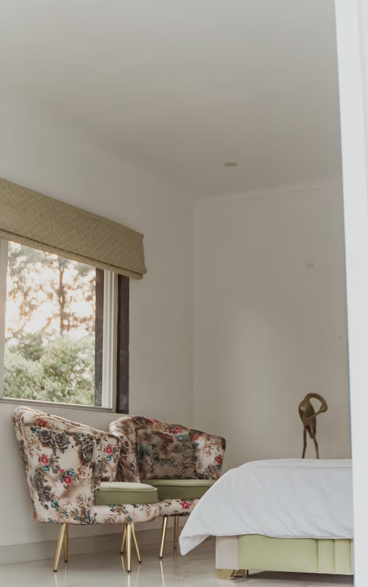 Starlit Solace farm x Solis Nature