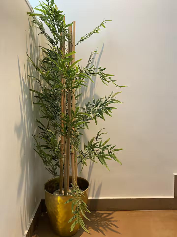 STAAR - Luxury Private Pool Villa in Anjuna x Solis Nature