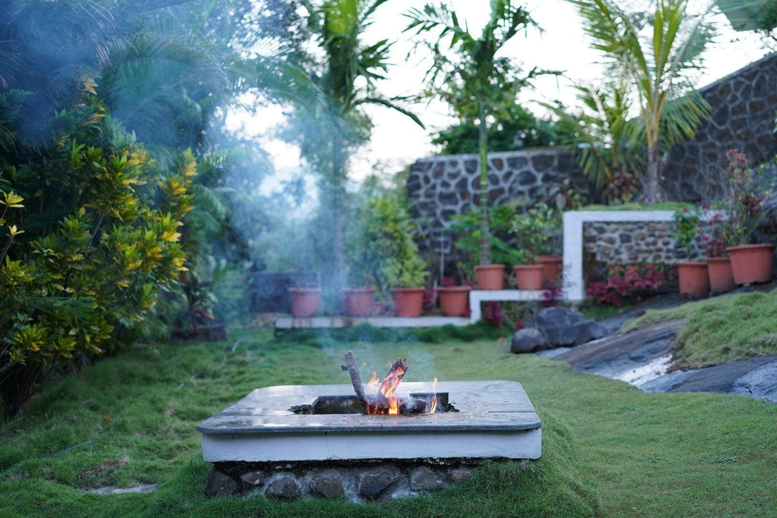 Yahvi The Forest Abode x Solis Nature