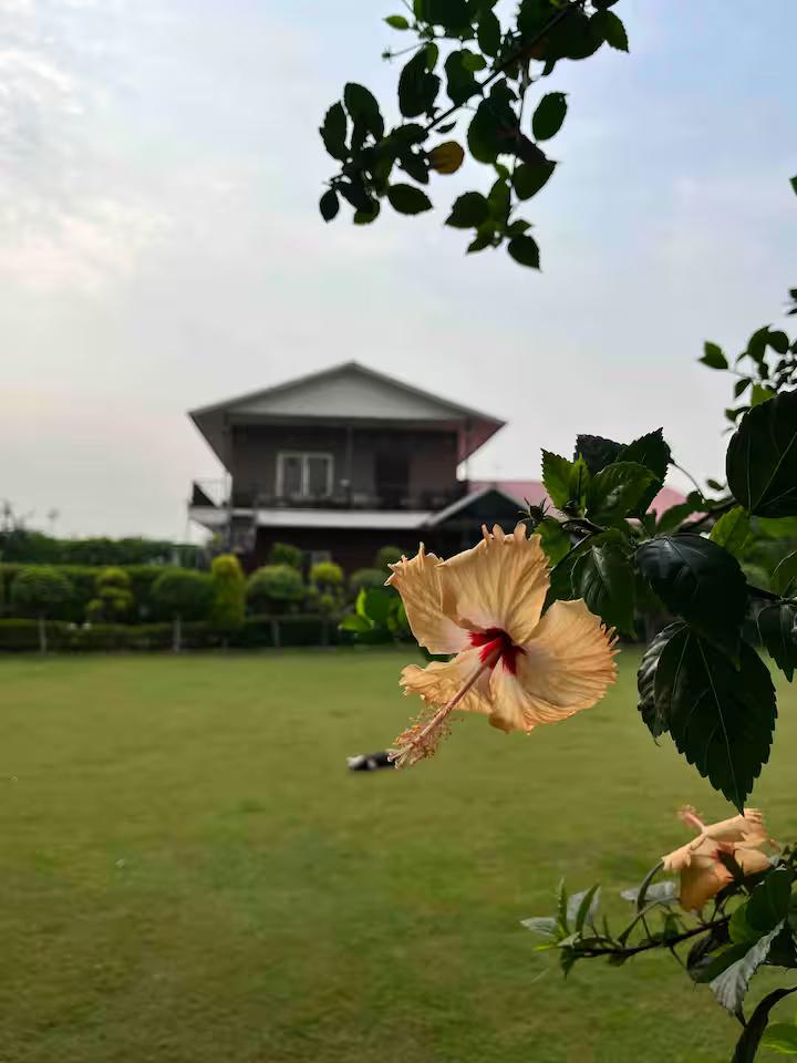 Khwaab Farmhouse for pool party, wedding, events (NCR) x Solis Nature