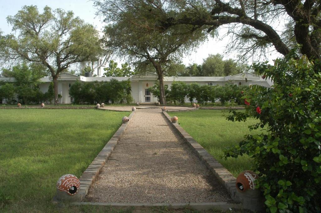 Savista Retreat x Solis Nature