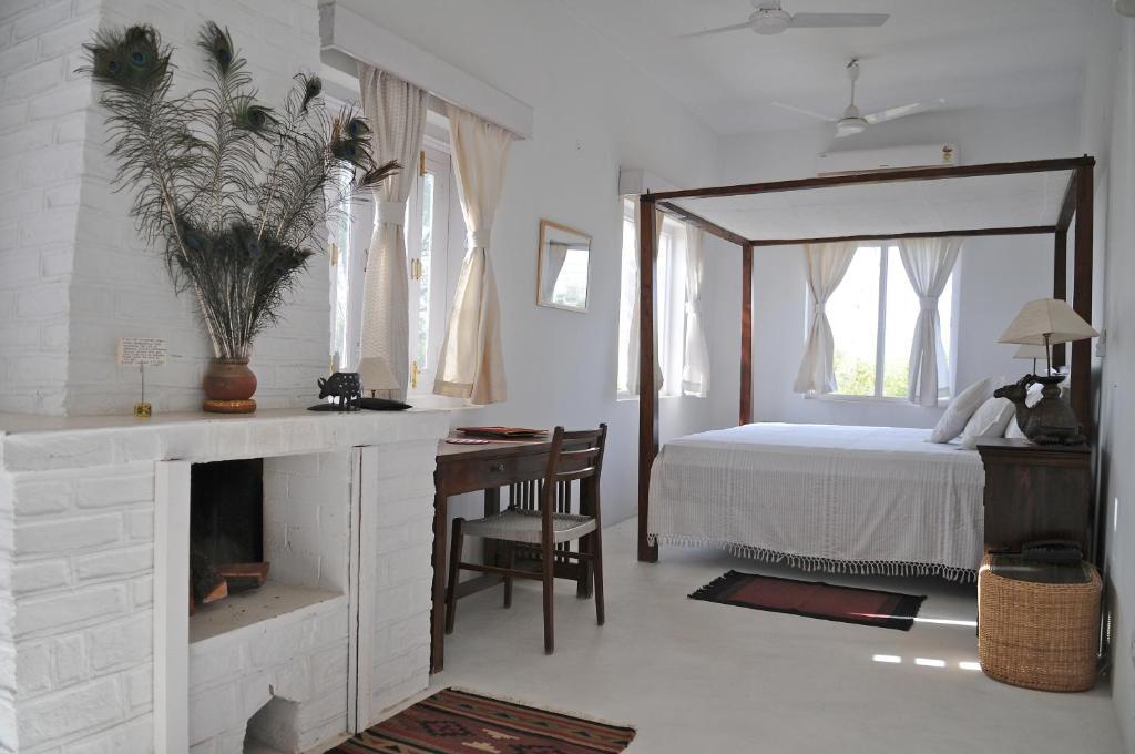 Savista Retreat x Solis Nature