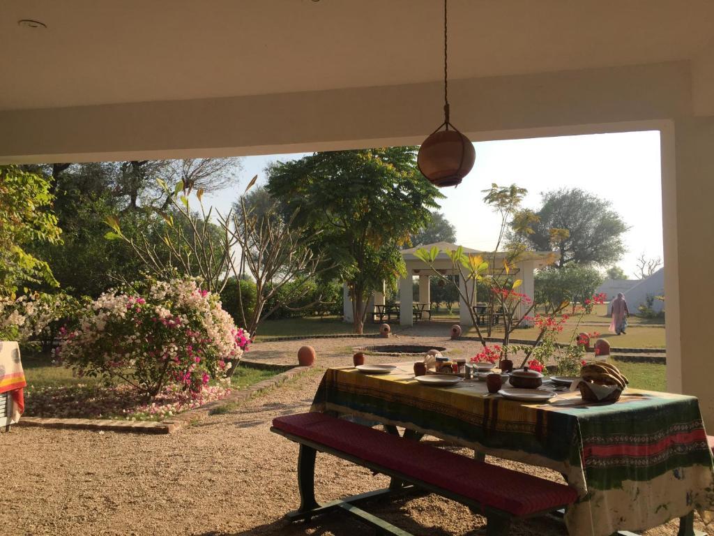 Savista Retreat x Solis Nature