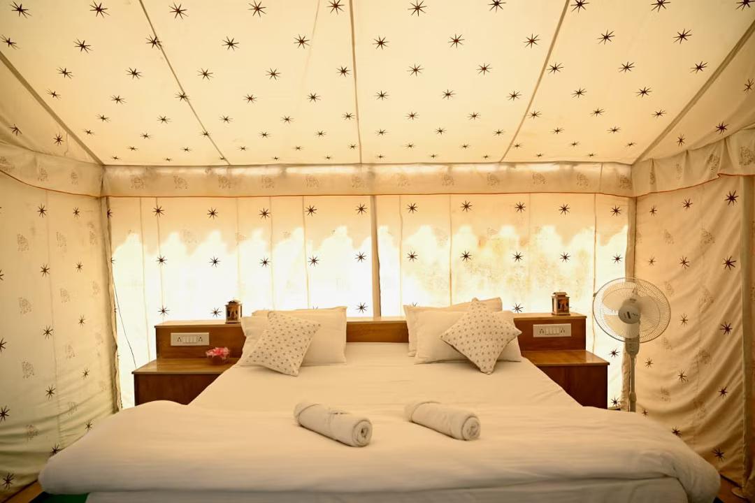 Sunny Desert Camp x Solis Nature