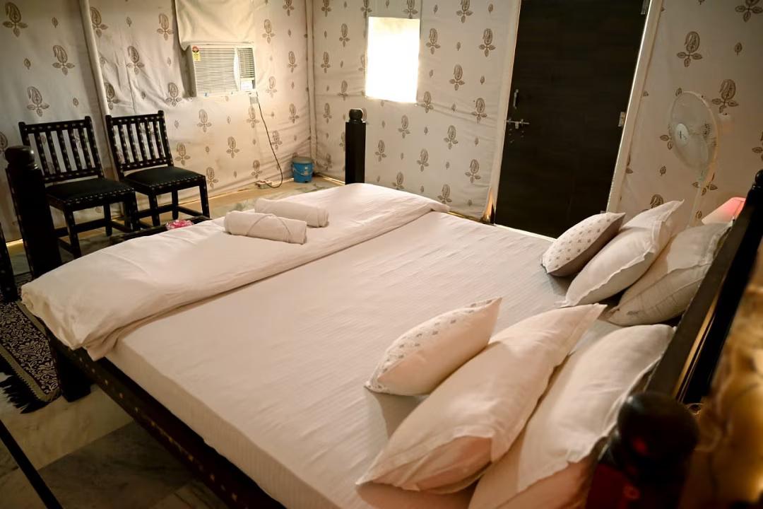 Sunny Desert Camp x Solis Nature