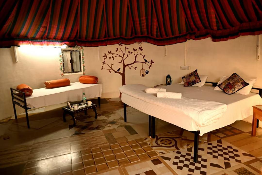 Sunny Desert Camp x Solis Nature