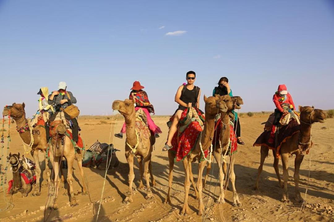 Sunny Desert Camp x Solis Nature