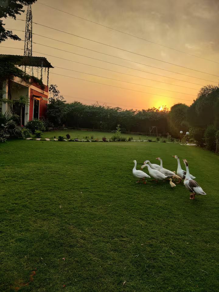 Luxury Farmhouse with Pool in the Aravalli Hills x Solis Nature