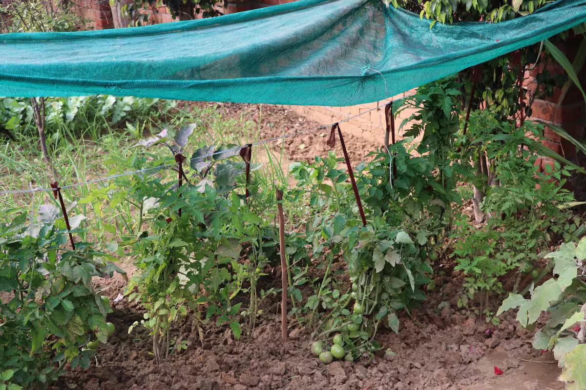 Luxury Farmhouse with Pool in the Aravalli Hills x Solis Nature