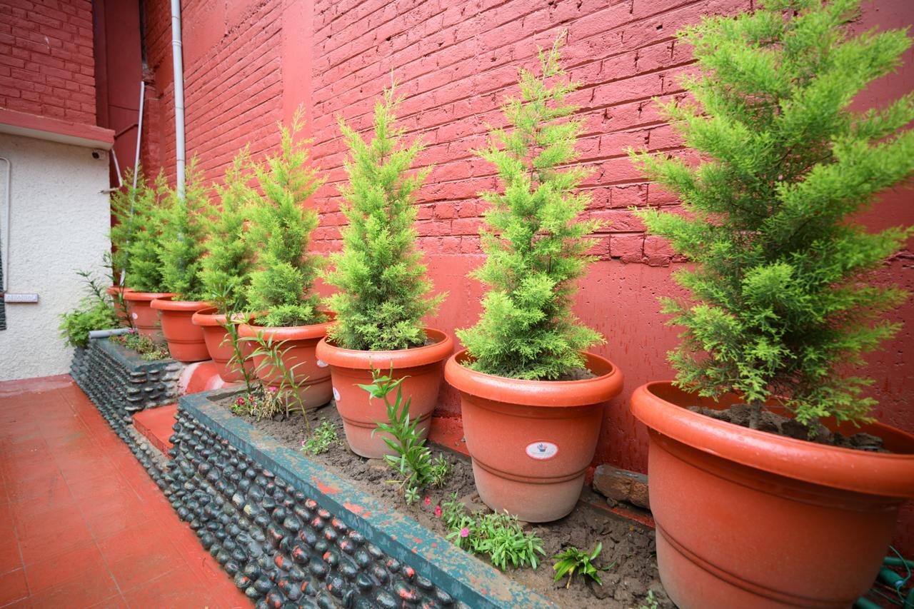 Aubiz Villa's Residential Suite x Solis Nature