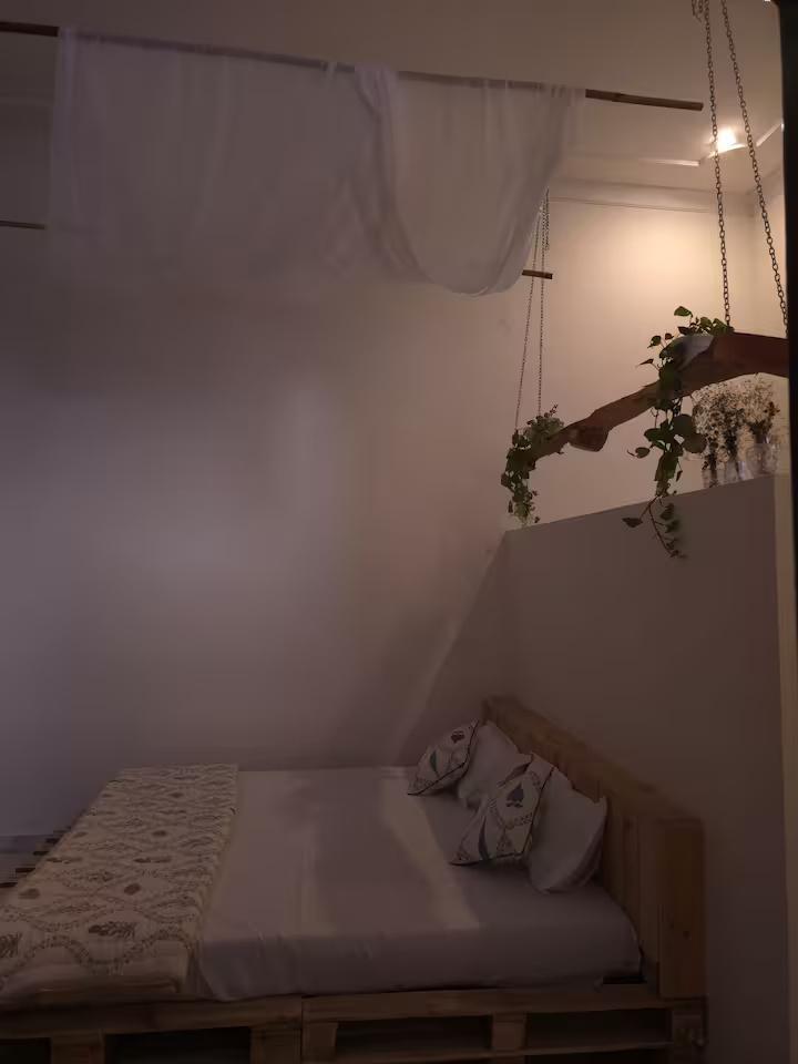 The Muse Studio x Solis Nature