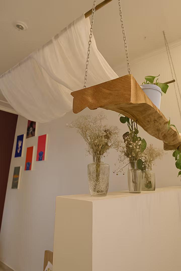 The Muse Studio x Solis Nature