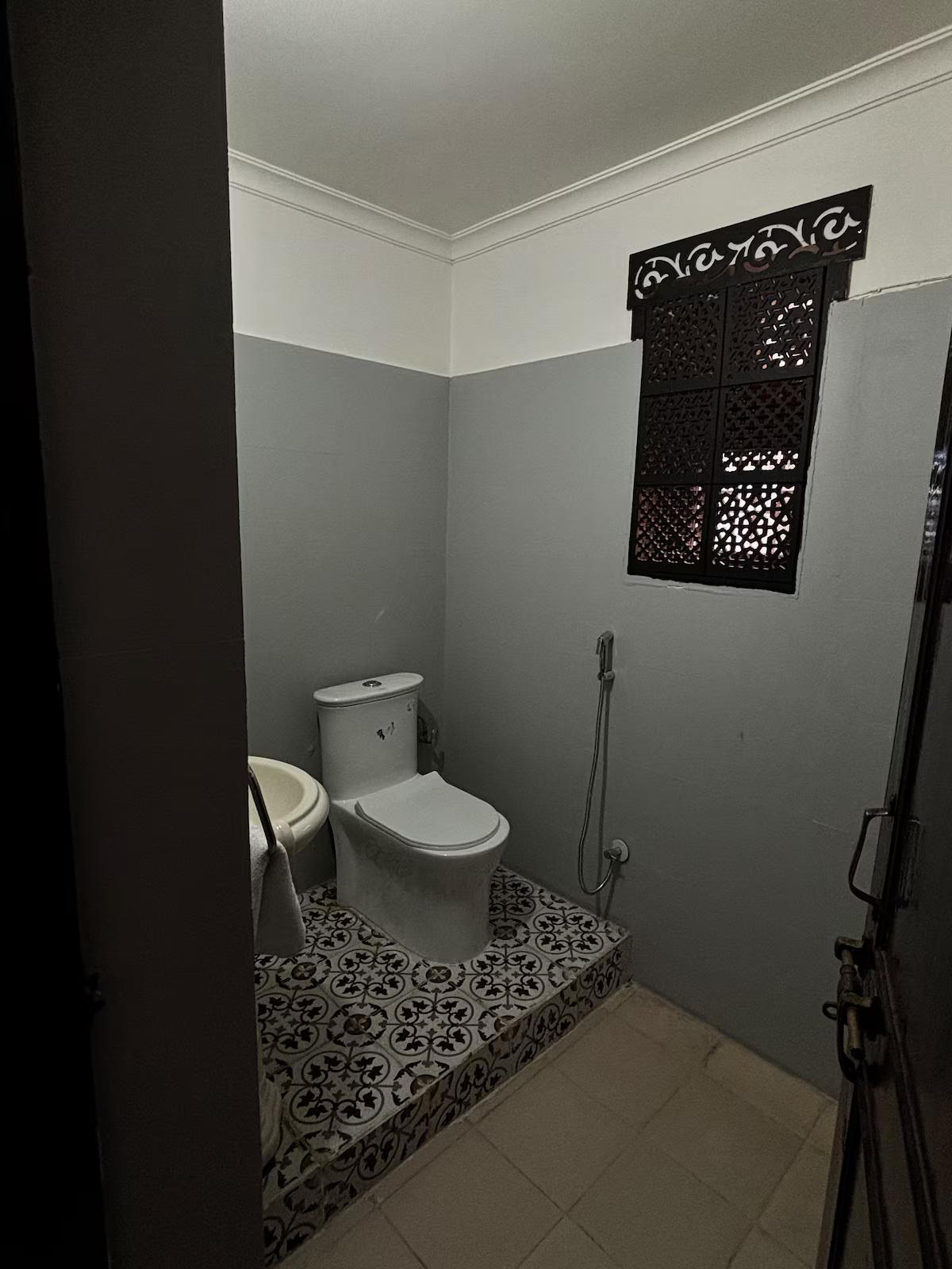 The Muse Studio x Solis Nature