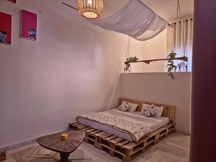 The Muse Studio x Solis Nature